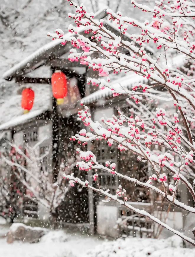水、身体炸划算还有节日限定香薰、香包不朽情缘登录入口香香好物丨欧珑正装香(图46)