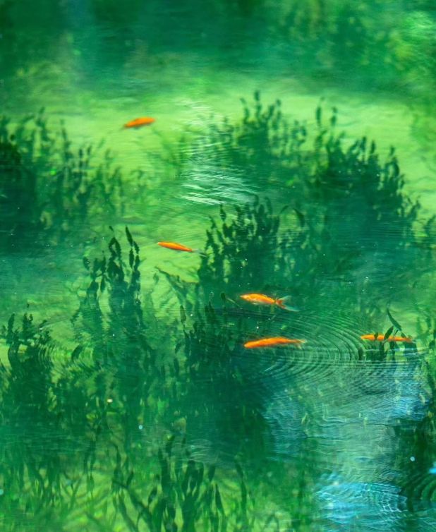 水、身体炸划算还有节日限定香薰、香包不朽情缘登录入口香香好物丨欧珑正装香(图48)